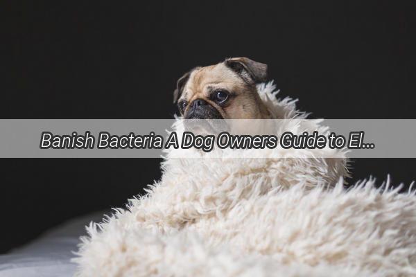 Banish Bacteria A Dog Owners Guide to Eliminating Germs from Furry Friends